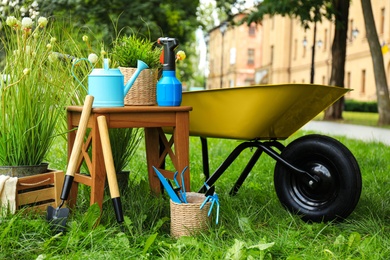 Photo of Composition with gardening tools on green grass