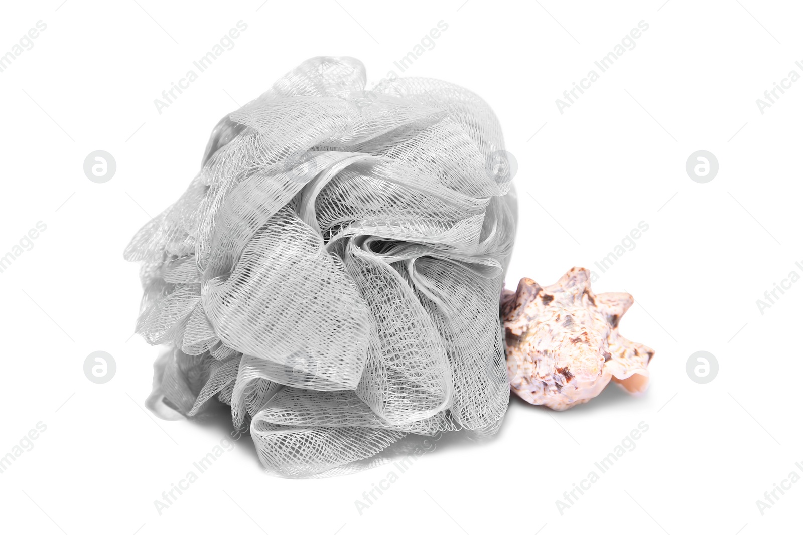 Photo of New grey shower puff with seashell on white background. Personal hygiene