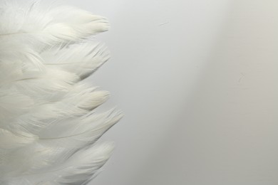 Many fluffy white feather on light background, flat lay. Space for text