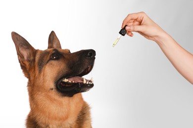 Photo of Woman giving tincture to German Shepherd dog on white background, closeup