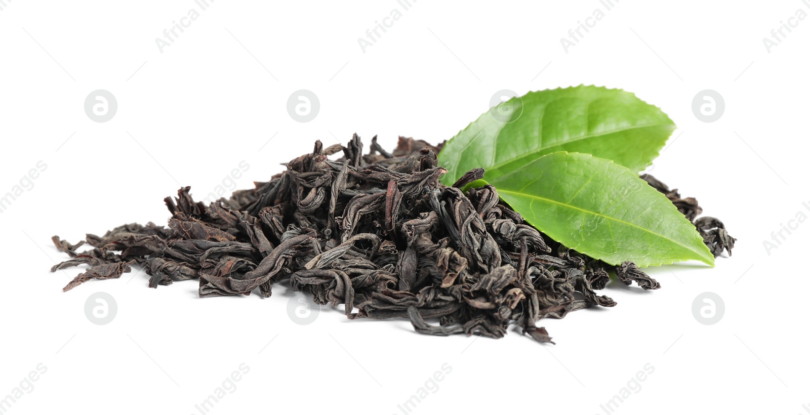 Photo of Dry and fresh tea leaves isolated on white