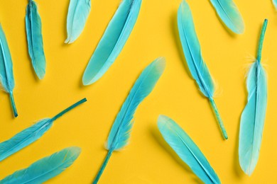Photo of Turquoise beautiful feathers on yellow background, flat lay