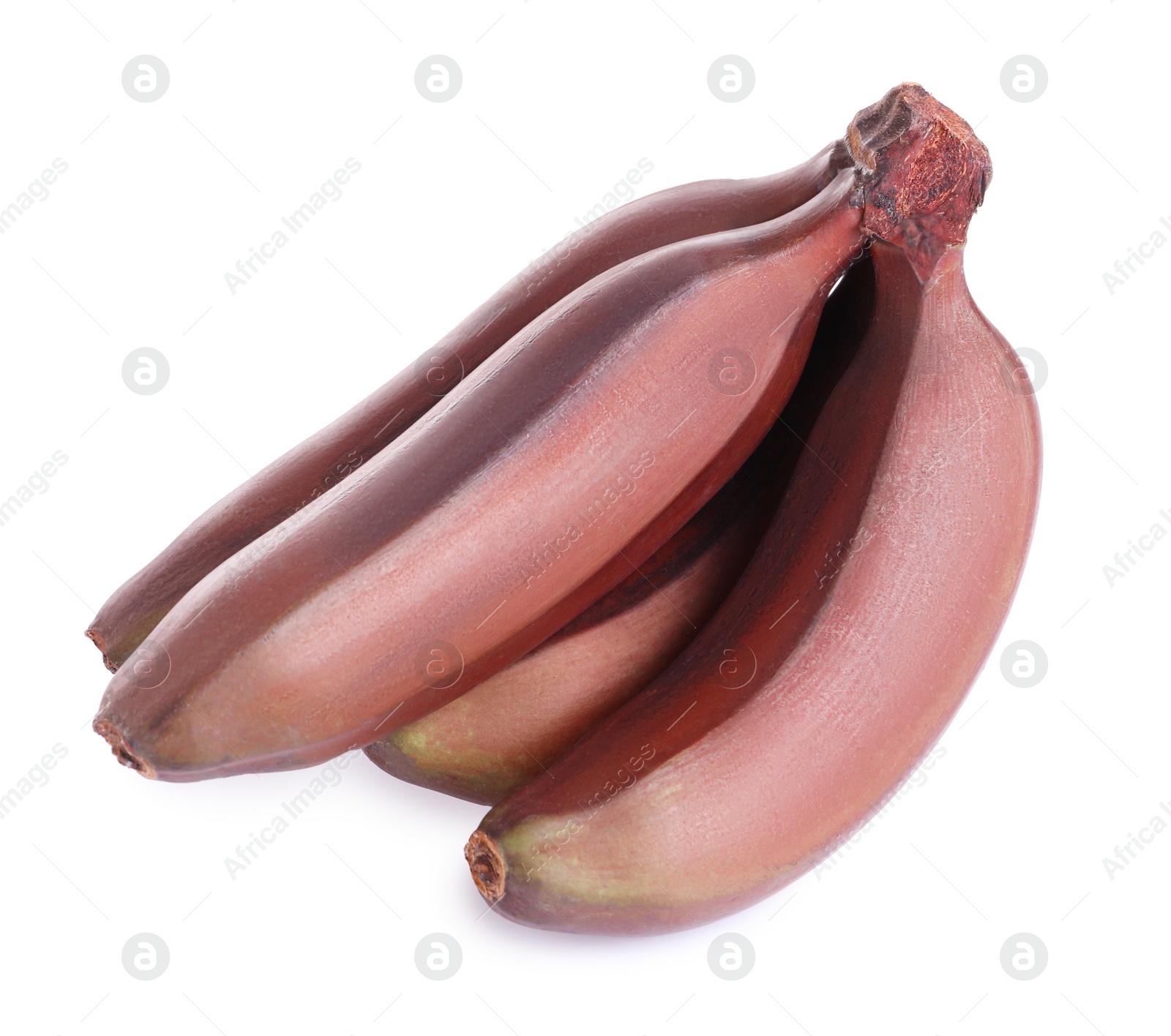 Photo of Delicious red baby bananas on white background