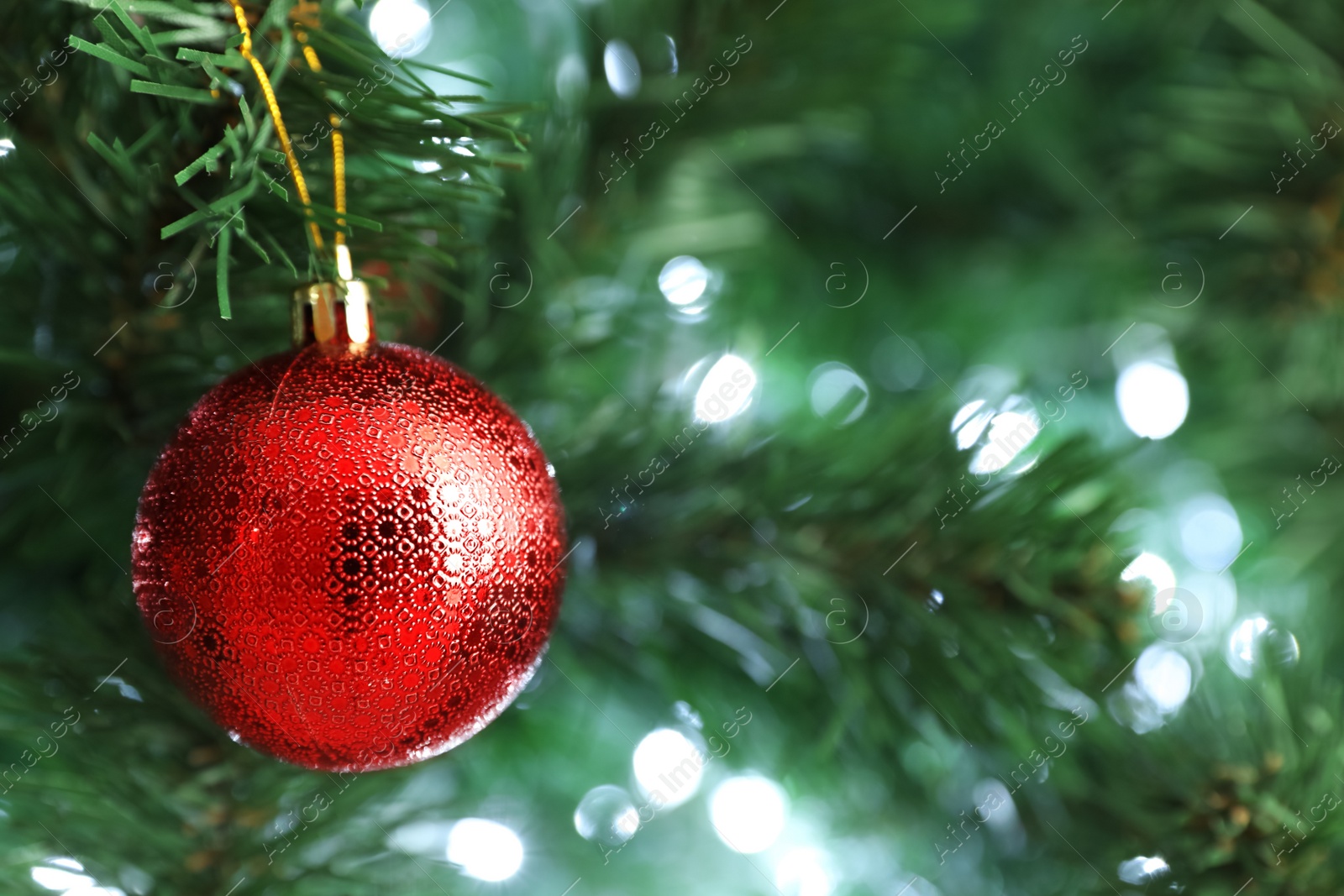 Photo of Beautiful holiday bauble hanging on Christmas tree, closeup