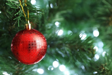 Beautiful holiday bauble hanging on Christmas tree, closeup