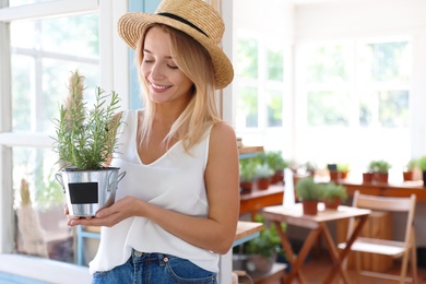 Young woman holding home plant near open shop, space for text