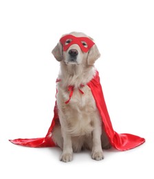 Photo of Adorable dog in red superhero cape and mask on white background