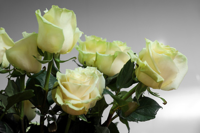 Photo of Beautiful white roses on light grey background, closeup. Floral decor