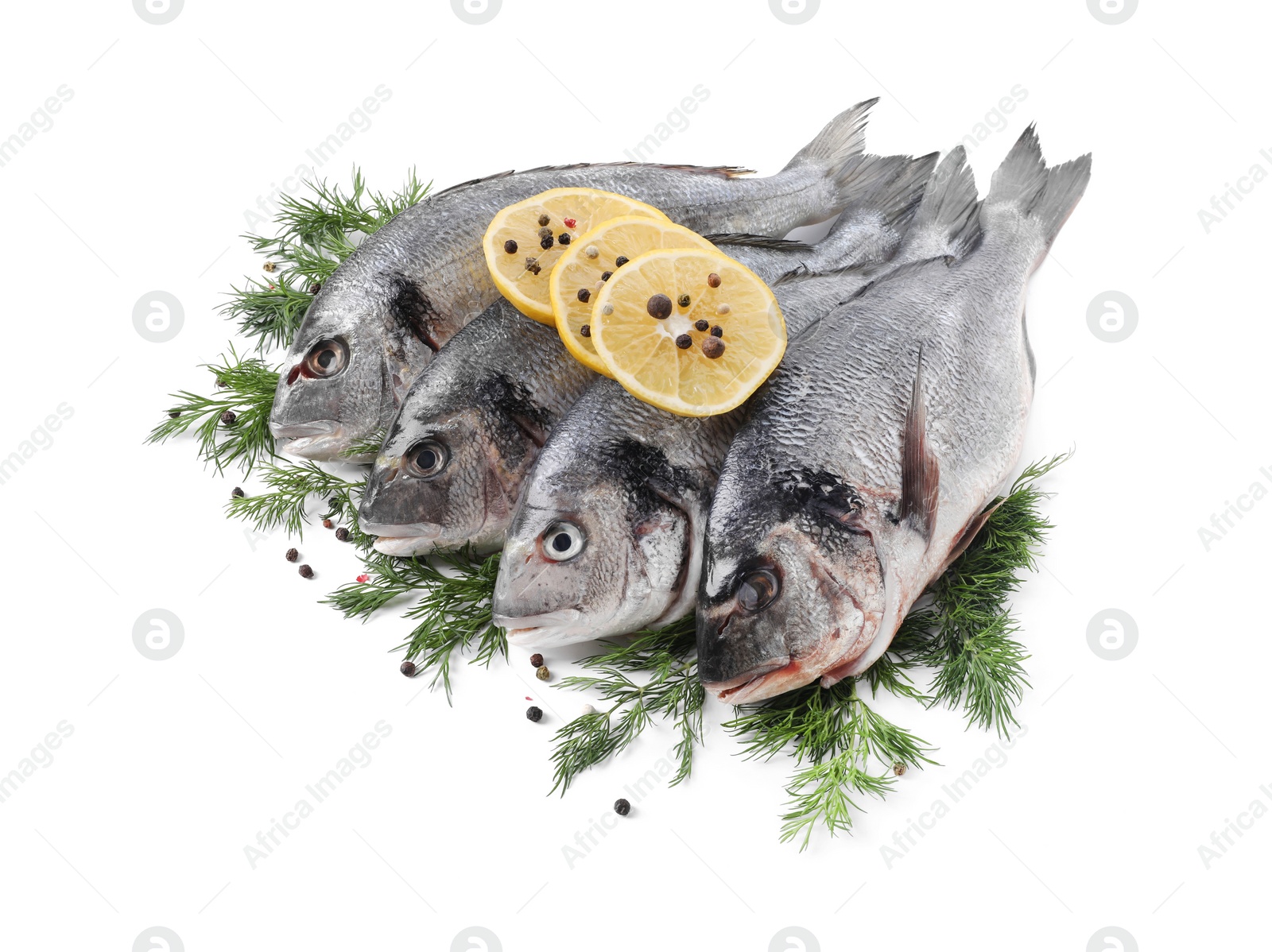 Photo of Raw dorado fish, dill, lemon slices and peppercorns isolated on white