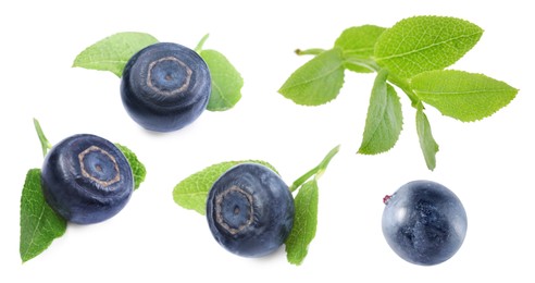 Image of Set with fresh ripe bilberries and green leaves isolated on white