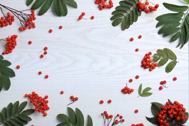 Photo of Frame of fresh ripe rowan berries and green leaves on white wooden table, flat lay. Space for text