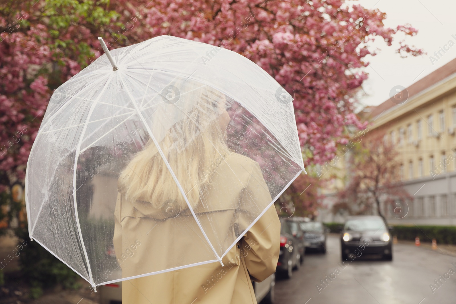 Photo of Young woman with umbrella on spring day, back view. Space for text