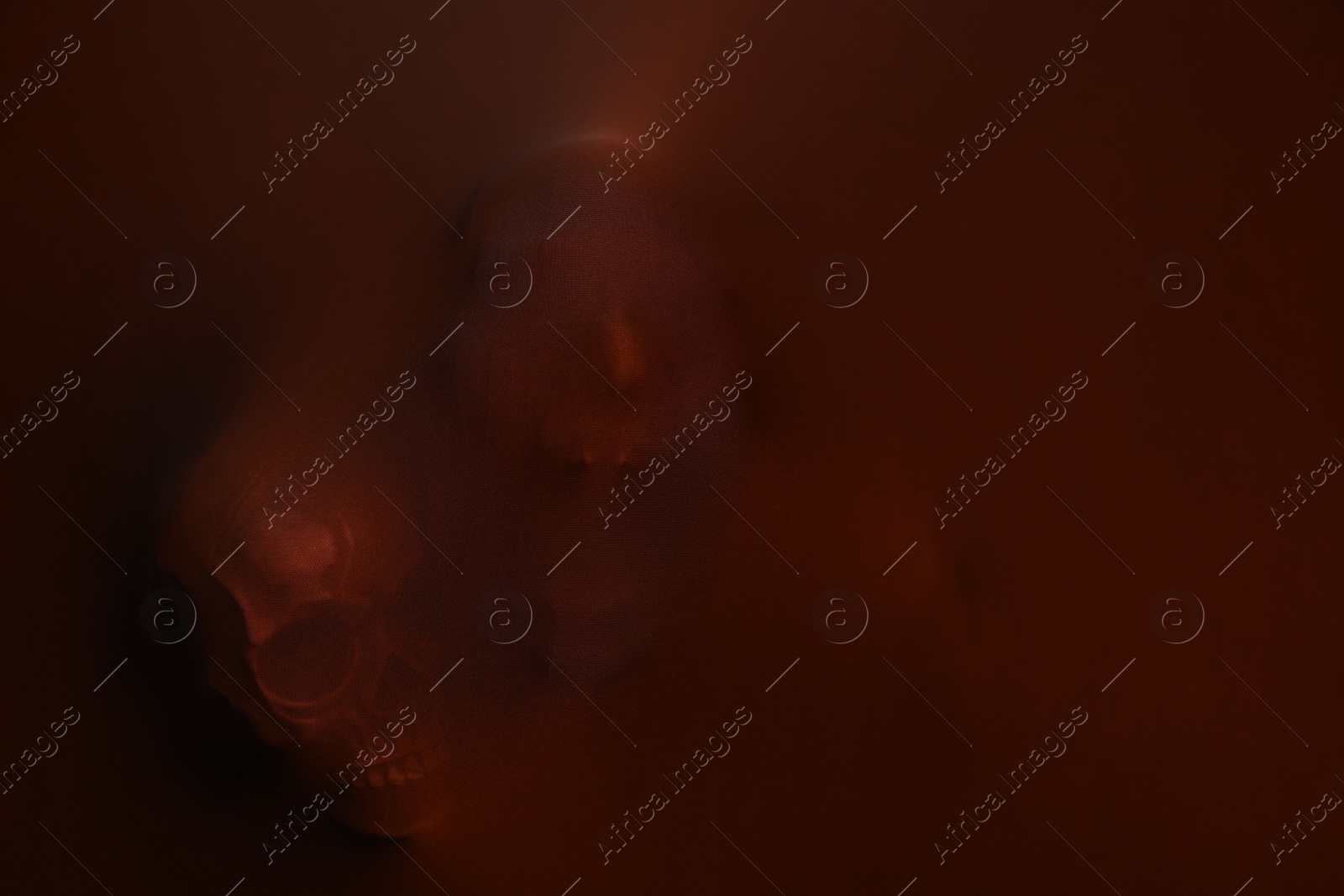 Photo of Silhouette of creepy ghost with skulls behind brown cloth