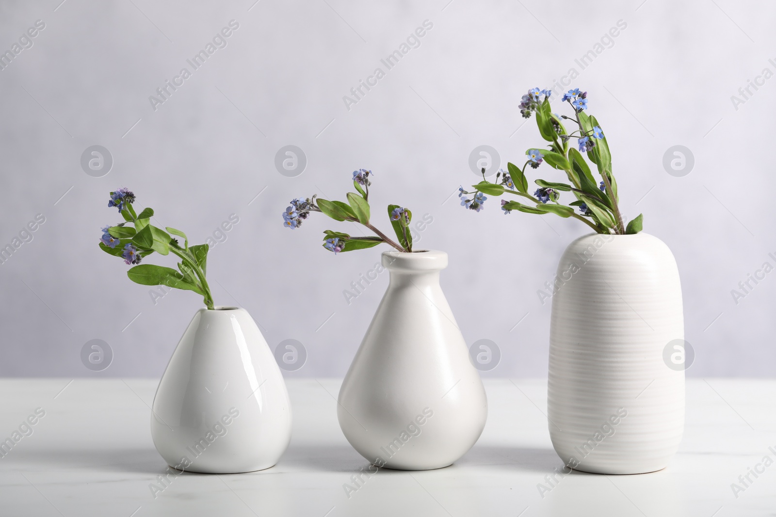 Photo of Beautiful forget-me-not flowers in vases on white marble table, closeup