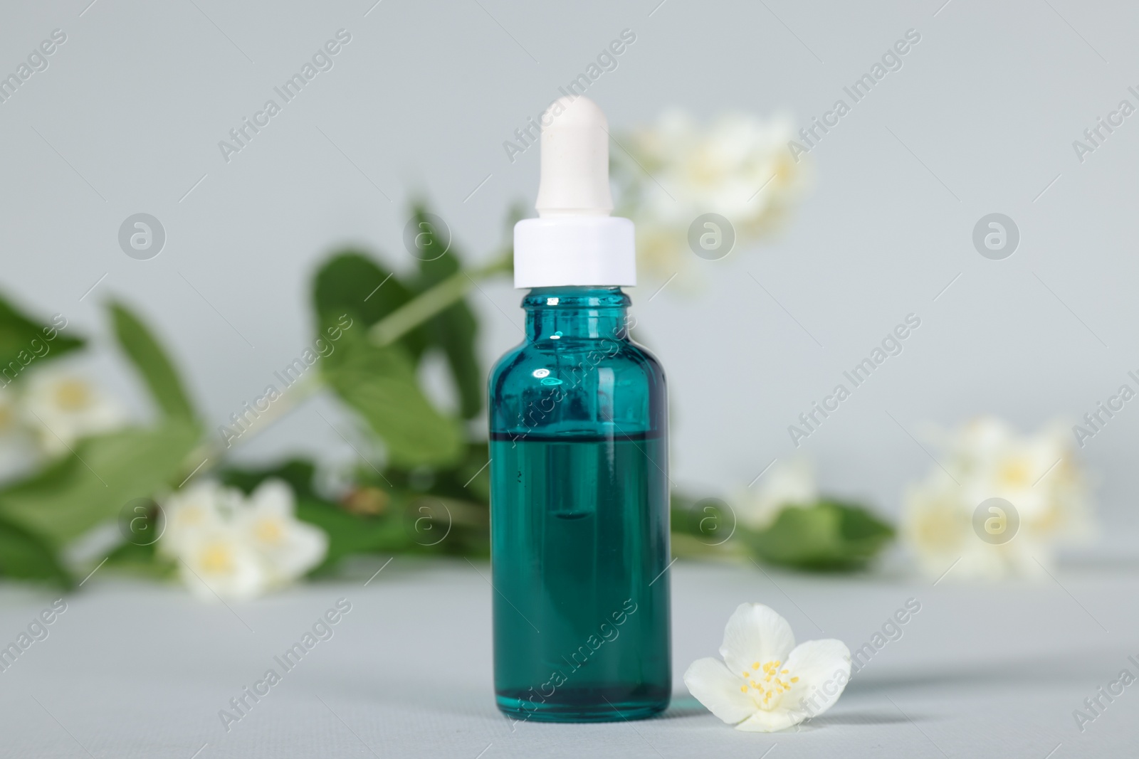 Photo of Essential oil in bottle and beautiful jasmine flowers on grey background, closeup