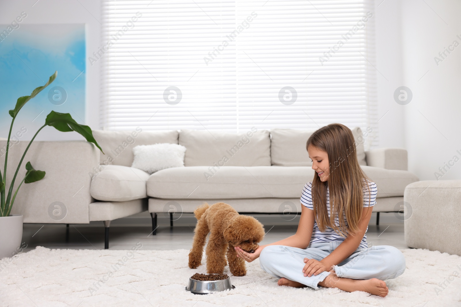 Photo of Little child feeding cute puppy on carpet at home. Lovely pet