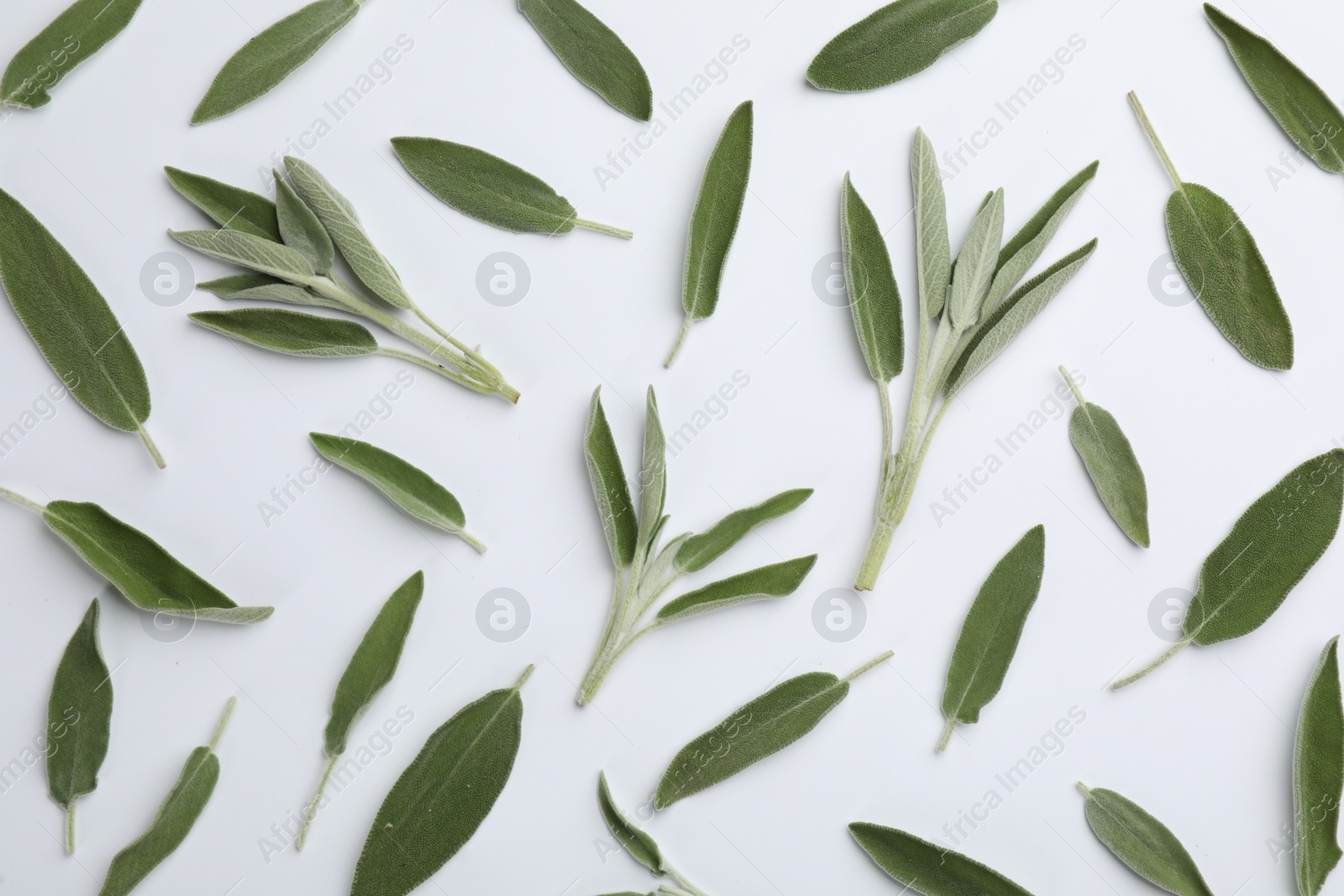 Photo of Fresh green sage leaves on light background, flat lay