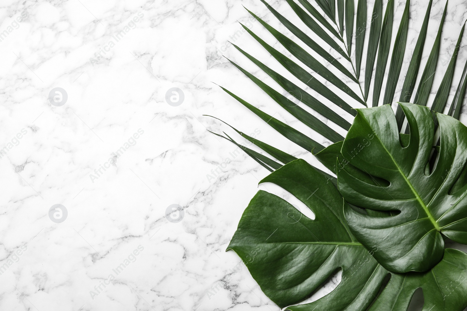 Photo of Flat lay composition with tropical leaves and space for text on marble background