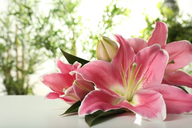 Photo of Beautiful pink lily flowers on white table against blurred background