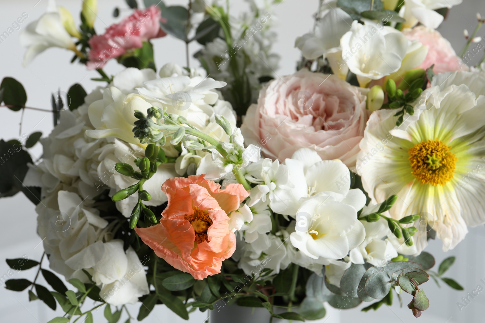 Photo of Bouquet of beautiful flowers on light background, closeup