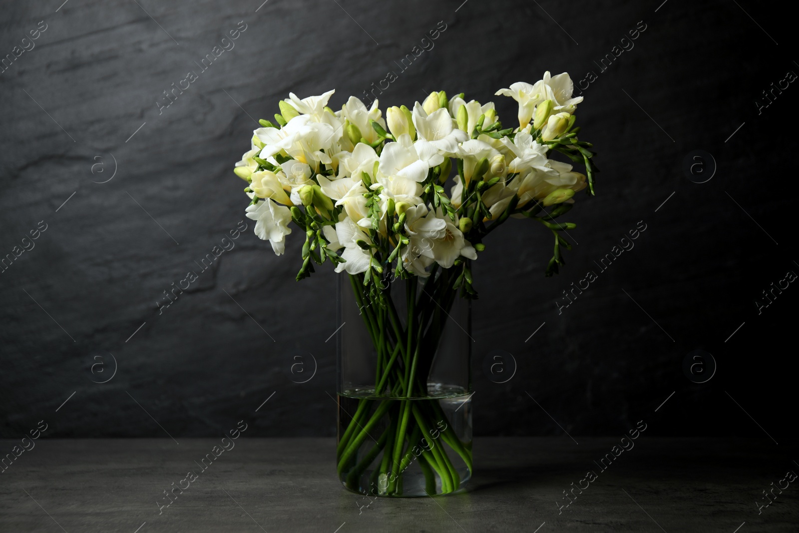 Photo of Beautiful white freesia flowers on black background