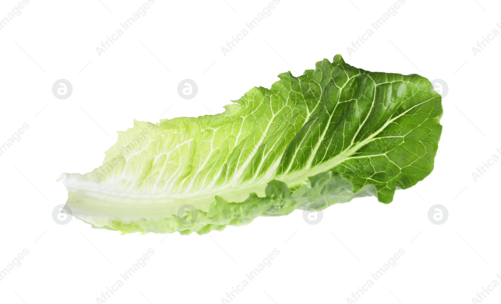 Photo of Fresh leaf of green romaine lettuce isolated on white