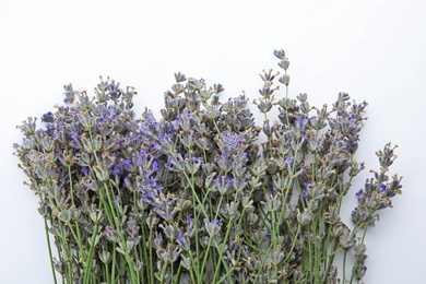 Photo of Beautiful blooming lavender flowers on white background