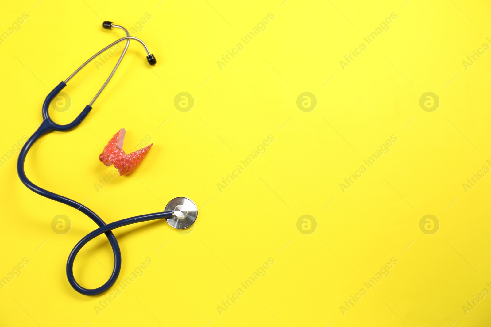 Photo of Endocrinology. Stethoscope and model of thyroid gland on yellow background, top view. Space for text