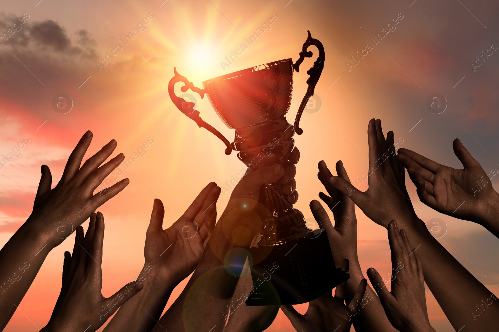 Image of Winning team with gold trophy cup against shining sun in sky 