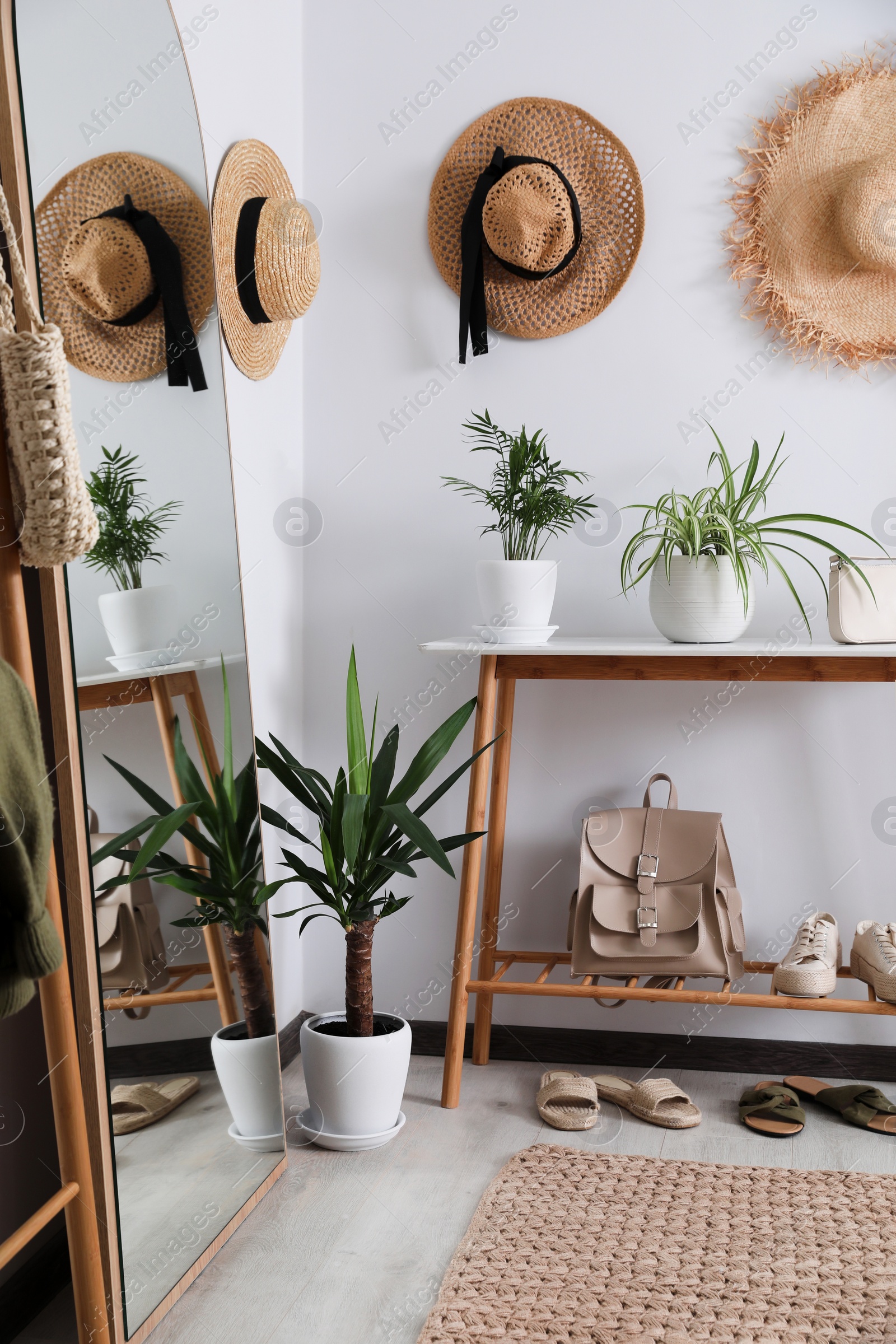 Photo of Wooden table with shoes, accessories and houseplants near white wall in hallway