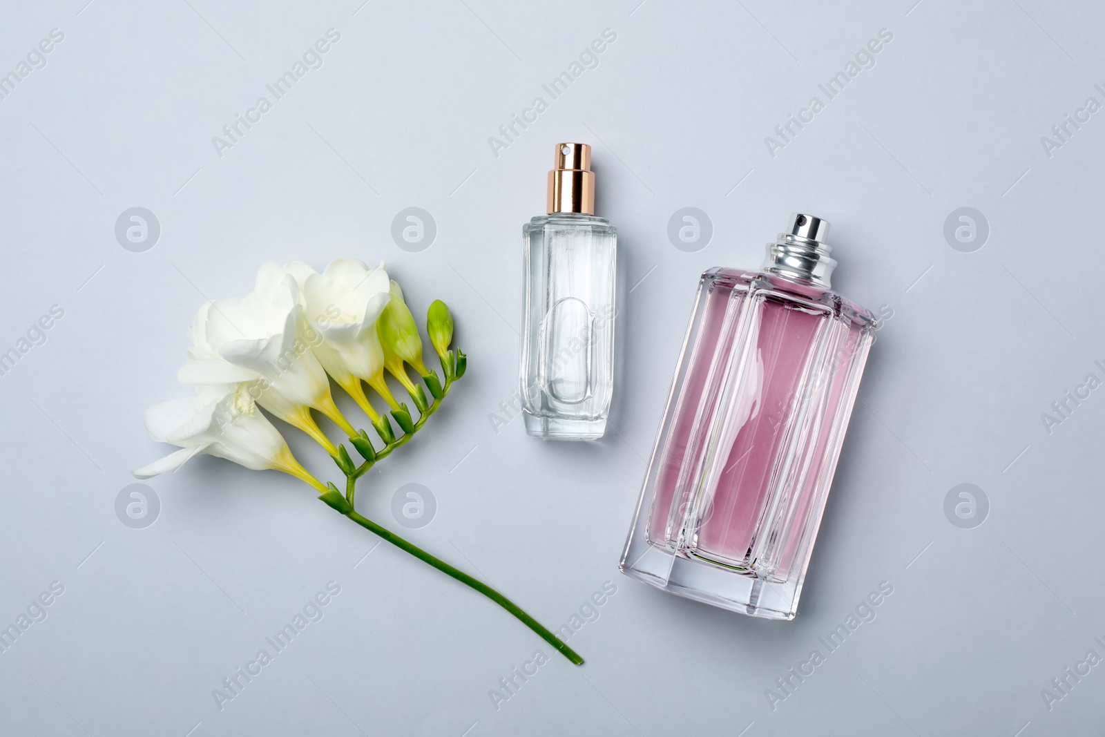 Photo of Bottles of perfume and flower on light background, top view