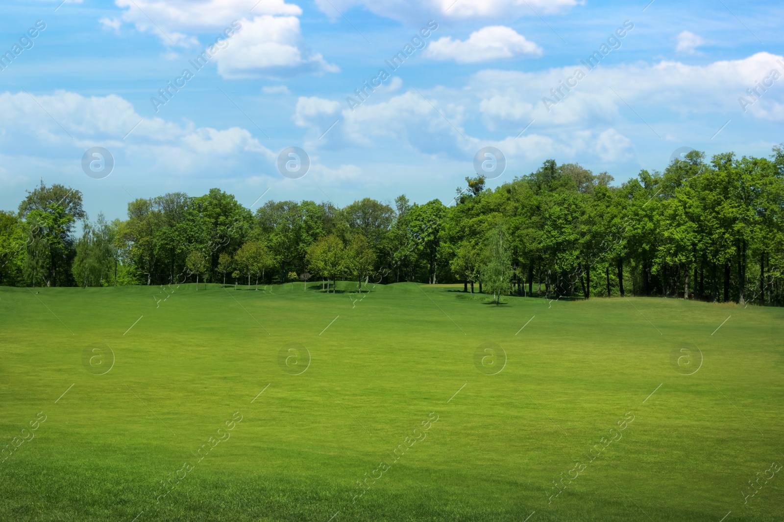 Image of Beautiful view of park with green grass on sunny day