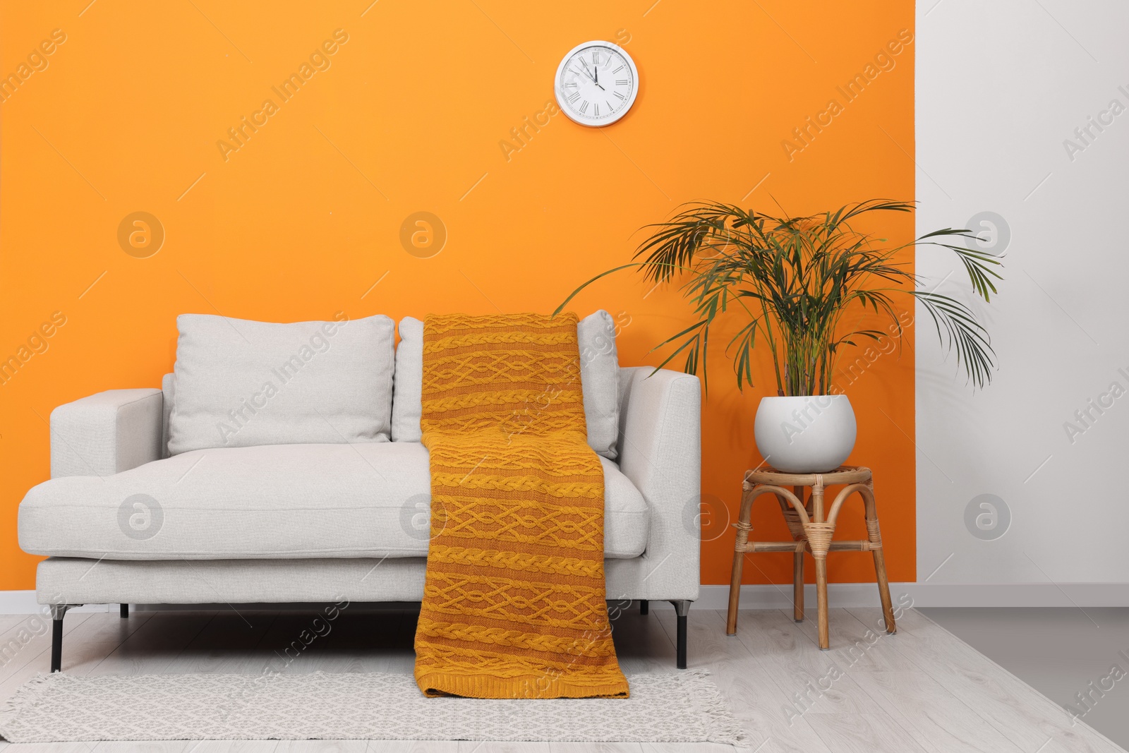 Photo of Comfortable sofa with orange blanket and houseplant indoors. Interior design