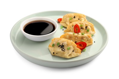 Delicious gyoza (asian dumplings) with soy sauce, pepper, onion and sesame isolated on white