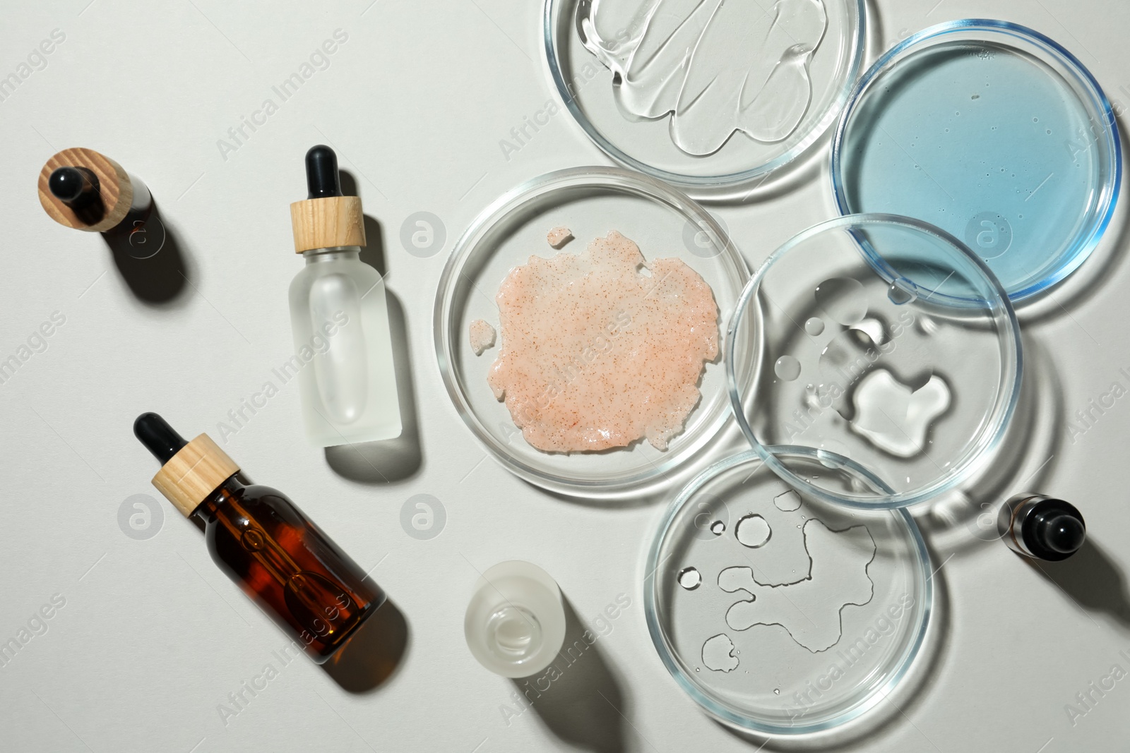 Photo of Flat lay composition with Petri dishes on light grey background