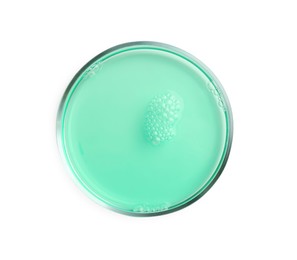 Photo of Petri dish with turquoise liquid sample on white background, top view