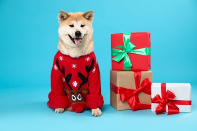 Photo of Cute Akita Inu dog in Christmas sweater near gift boxes on blue background