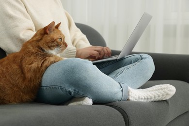 Woman working with laptop at home, closeup. Cute cat sitting on sofa near owner
