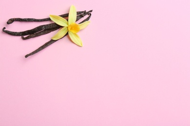 Photo of Flat lay composition with vanilla sticks and flower on pink background. Space for text