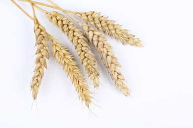 Photo of Ears of wheat on white background. Space for text