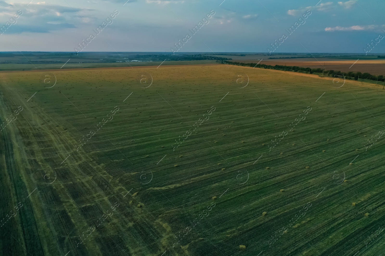 Photo of Aerial view of green mowed field outdoors. Agricultural industry