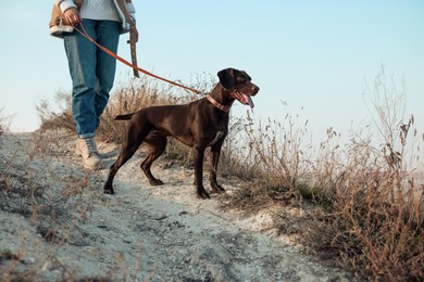 Photo of Woman with her German Shorthaired Pointer dog walking outdoors, closeup