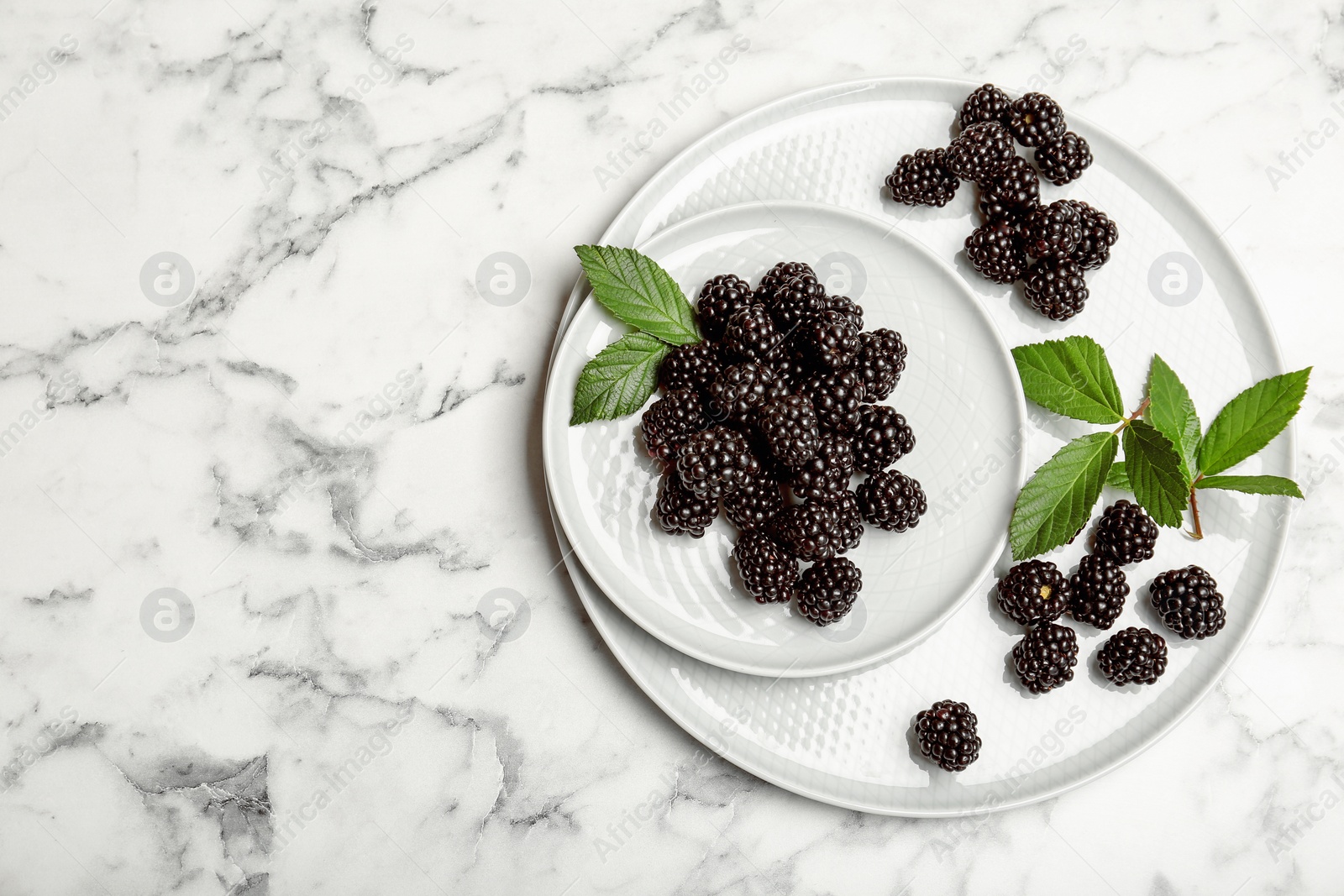 Photo of Plates with fresh blackberry and space for text on marble background, top view