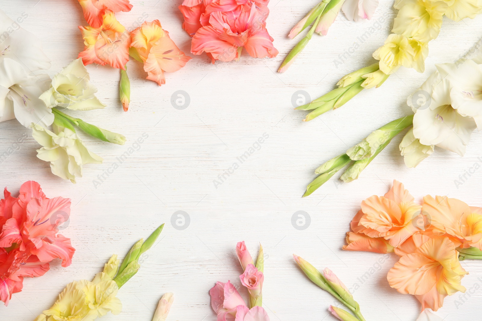 Photo of Flat lay composition with beautiful gladiolus flowers on wooden background