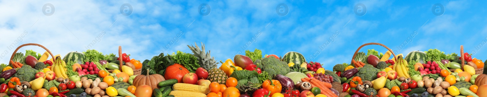 Image of Assortment of fresh organic fruits and vegetables outdoors. Banner design