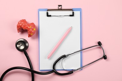 Endocrinology. Stethoscope, clipboard, model of thyroid gland and pen on pink background, flat lay