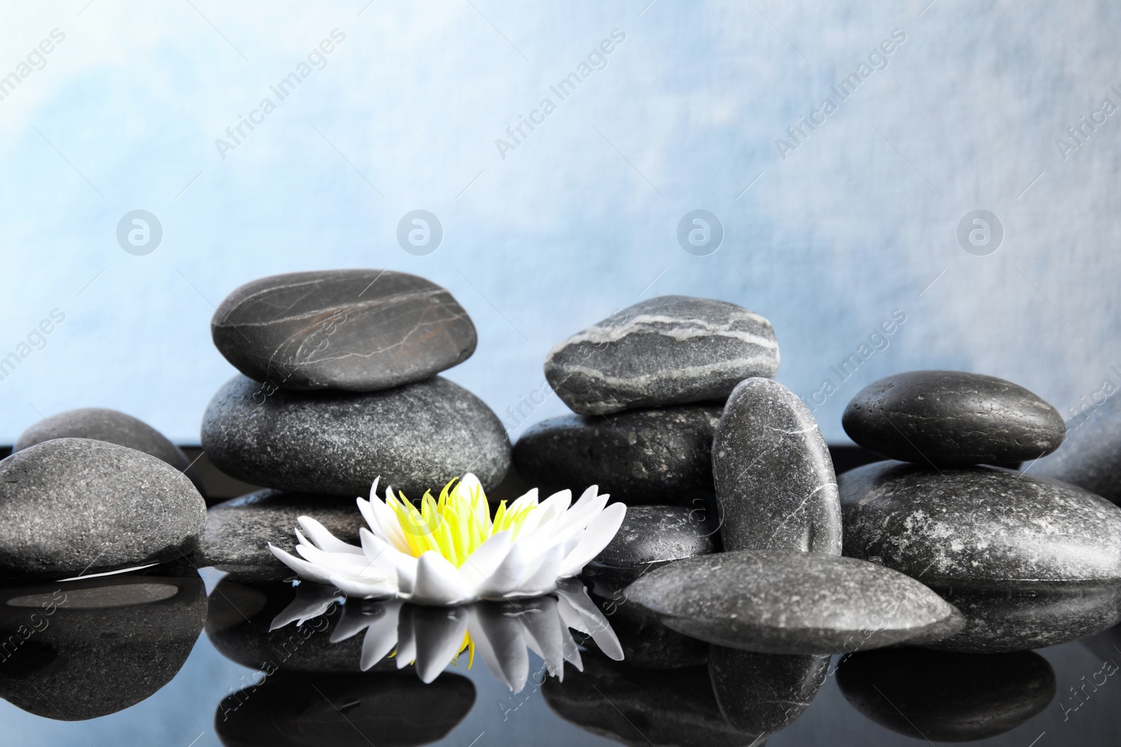 Photo of Beautiful zen garden with lotus flower and pond on light blue background