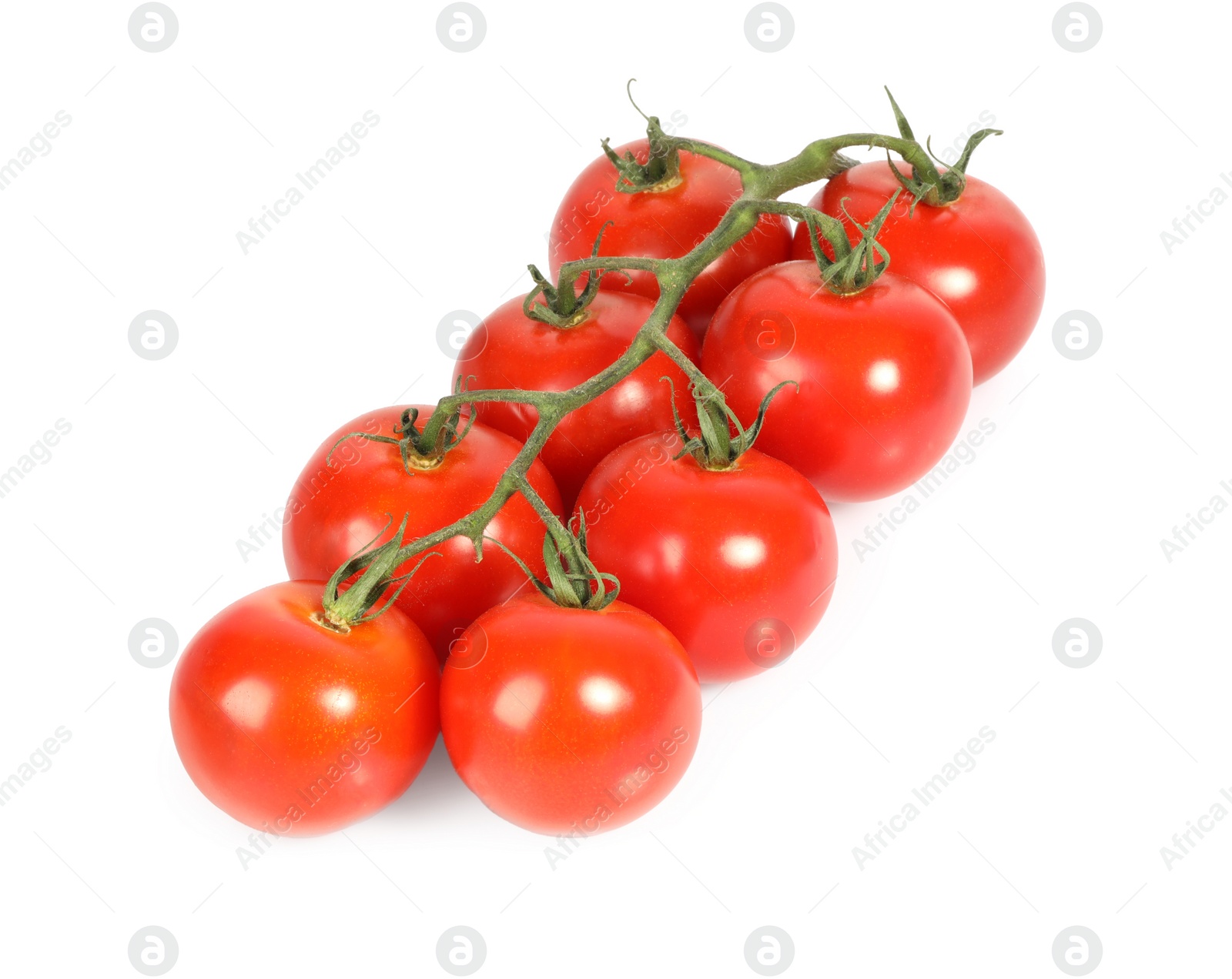 Photo of Branch with ripe cherry tomatoes isolated on white