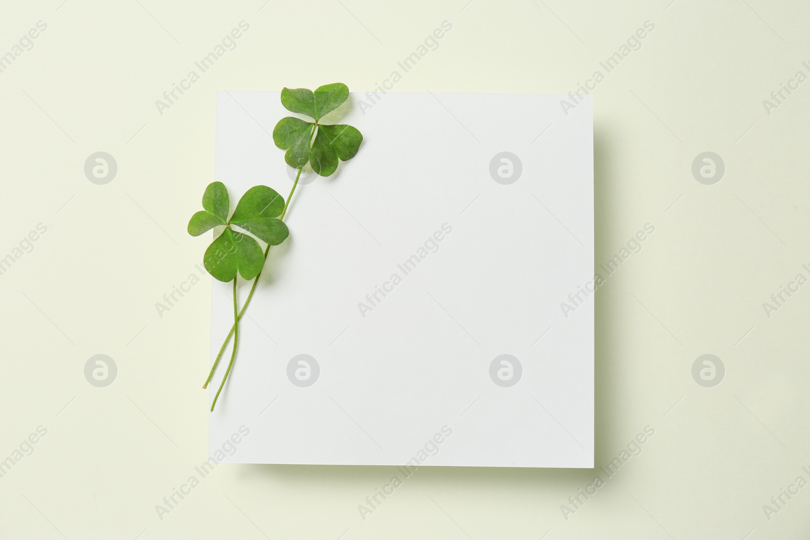 Photo of Green clover leaves and blank card on light background, top view. Space for text