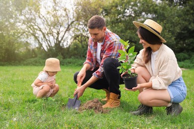 Photo of Family planting young tree together in garden